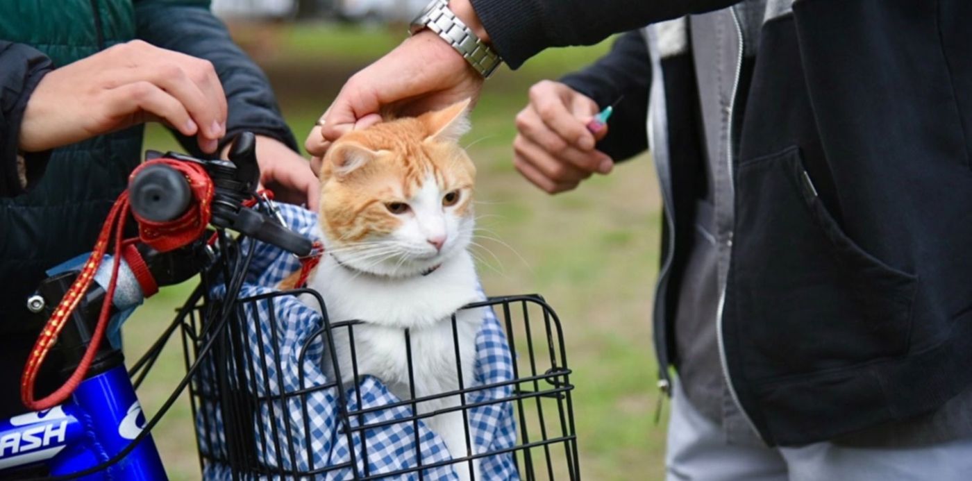 1686603015380.jpg?x=7&y=200&width=1486&height=743&rotate=0&scaleX=1&scaleY=1&ow=1500&oh=1000&&cw=1920&ch=950