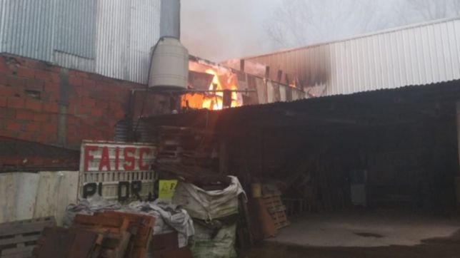 conmocion en gonnet: se quemo una maderera en el camino belgrano y evacuaron dos manzanas