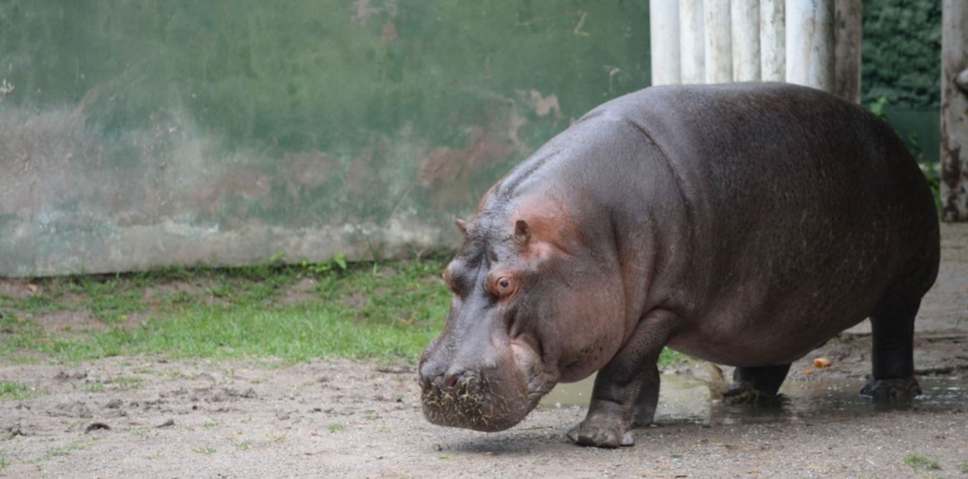 1546520000588.jpg?x=0&y=54&width=1500&rotate=0&height=750&scaleX=1&scaleY=1&ow=1500&oh=843&&cw=1920&ch=950