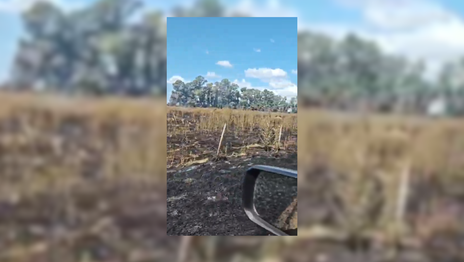 Un incendio a pocos metros del Autódromo Roberto Mouras arrasó con más de 80 hectáreas Un incendio a pocos metros del Autódromo Roberto Mouras arrasó con más de 80 hectáreas