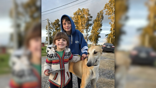 los rescatistas de la plata le devolvieron el perro a los duenos que los habian denunciado