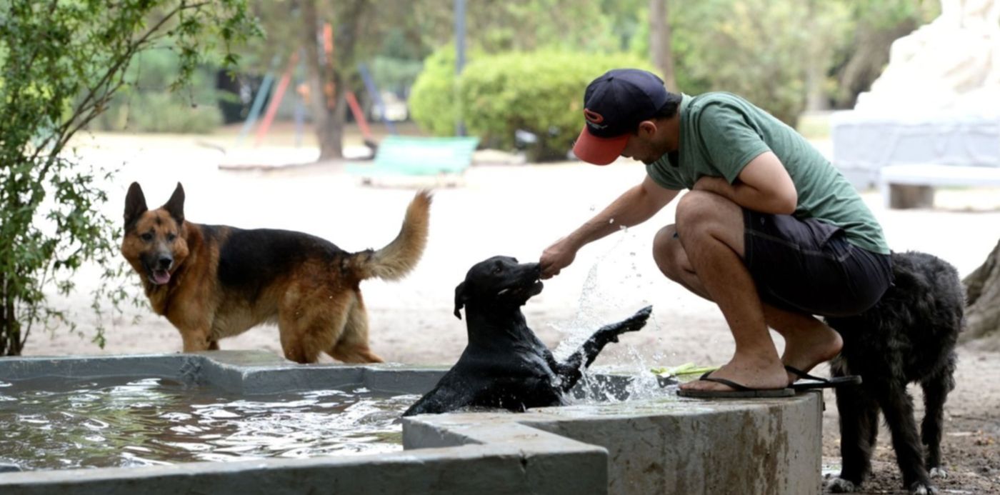 1640949406115.jpg?x=9&y=139&width=1482&height=741&rotate=0&scaleX=1&scaleY=1&ow=1500&oh=1010&&cw=1920&ch=950