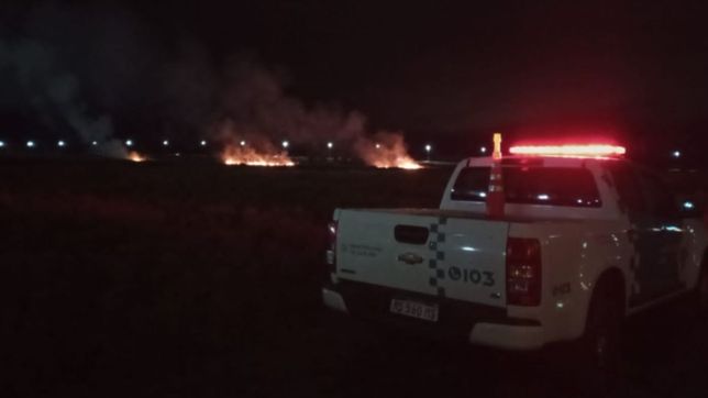 se desato un importante incendio en terrenos de la zona norte de la plata