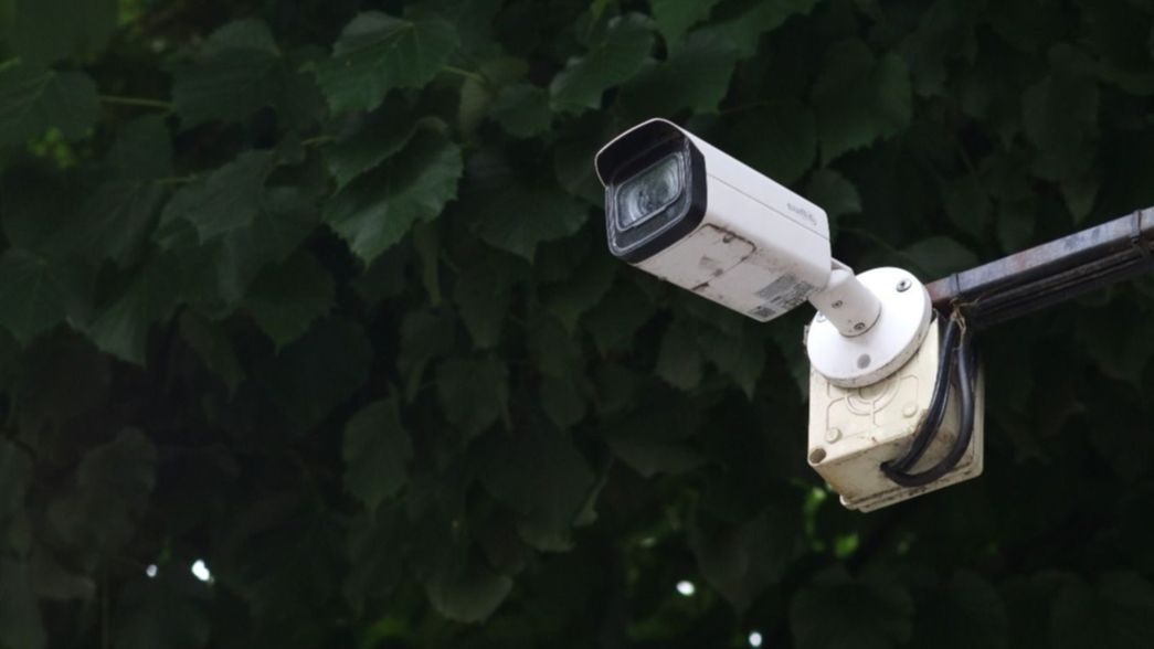 Avanza una investigación a sacamultas con jueces, abogados y gestores en la mira