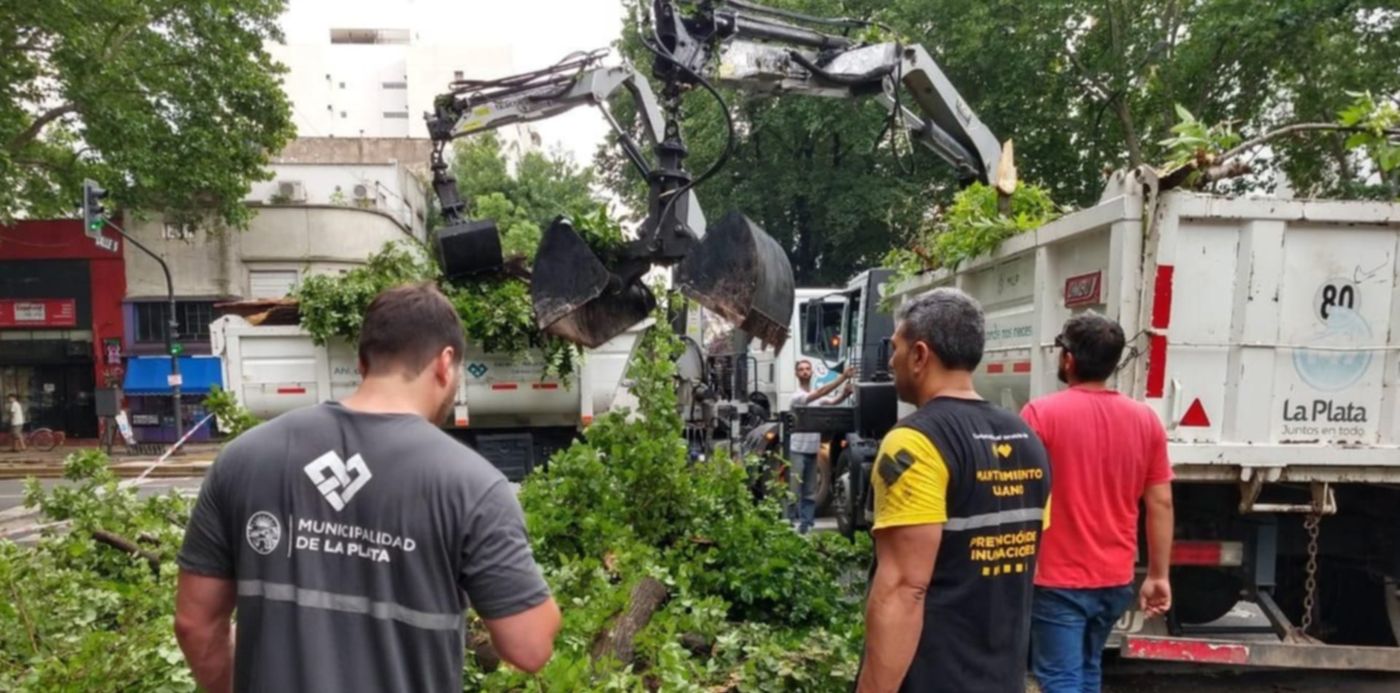 1575068490275.jpeg?height=630&scaleX=1&scaleY=1&ow=1280&oh=960&x=10&y=38&width=1261&rotate=0&&cw=1920&ch=950