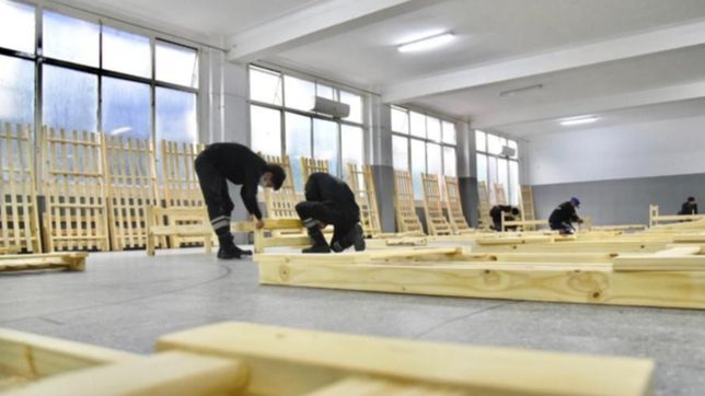 asi va a ser el centro de atencion de coronavirus que funcionara en la sede del lobo