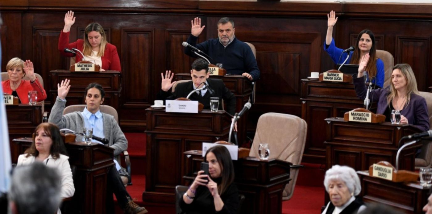 concejo -0007 (1) - sesión concejo deliberante Fracassi Sarlo