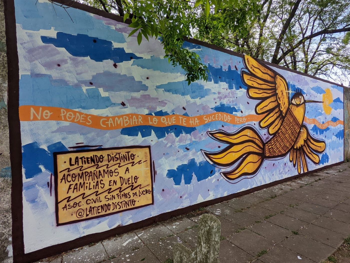 WhatsApp Image 2024-10-28 at 18.34.58.jpeg