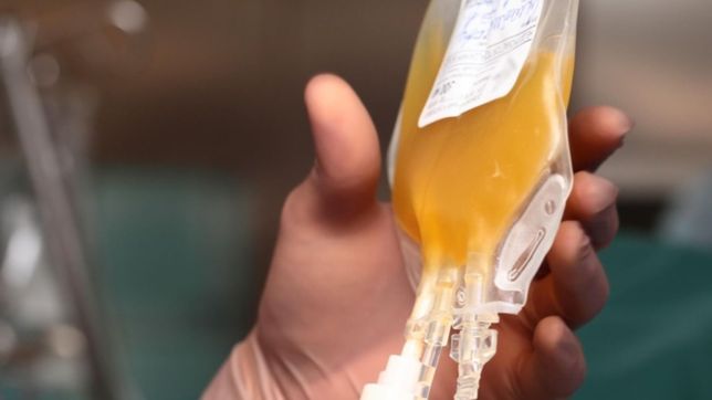 investigadores de la unlp confirmaron que los donantes de plasma no pierden anticuerpos
