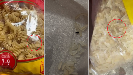 La mujer que denunció al mayorista Vital antes de la clausura reveló imágenes de los productos que compró La mujer que denunció al mayorista Vital antes de la clausura reveló imágenes de los productos que compró