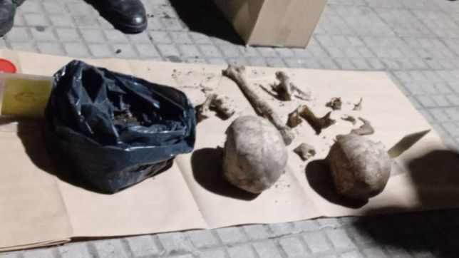 ¿cual es la principal hipotesis tras el hallazgo de los craneos en una casa de la plata?