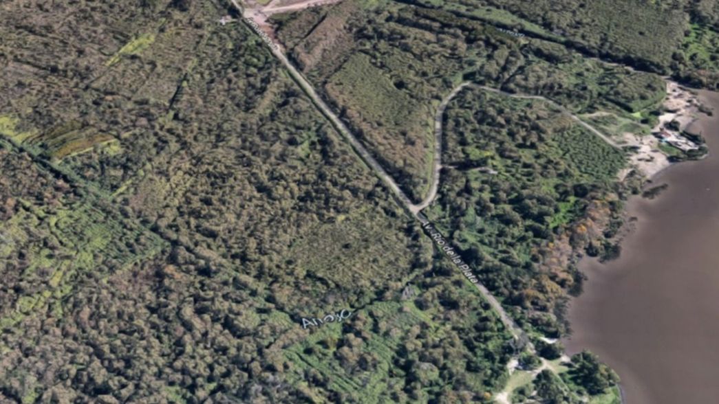 Camino de tierra, canales y maleza: así es la zona de Berisso donde hallaron el cadáver