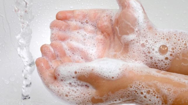 esta es la manera correcta de limpiar y desinfectarse despues de ir al supermercado