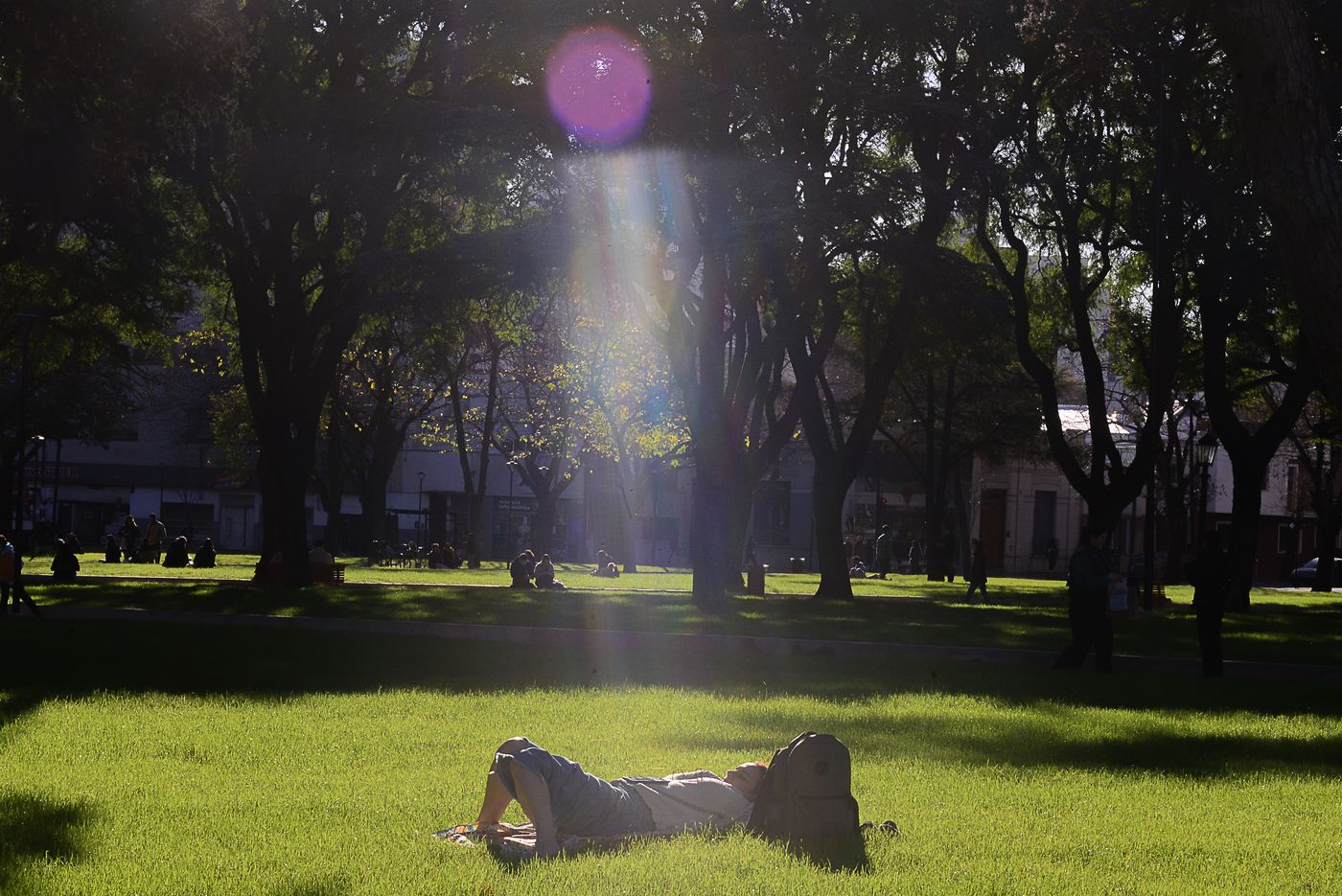Plaza Rocha después de la reapertura (5).jpg