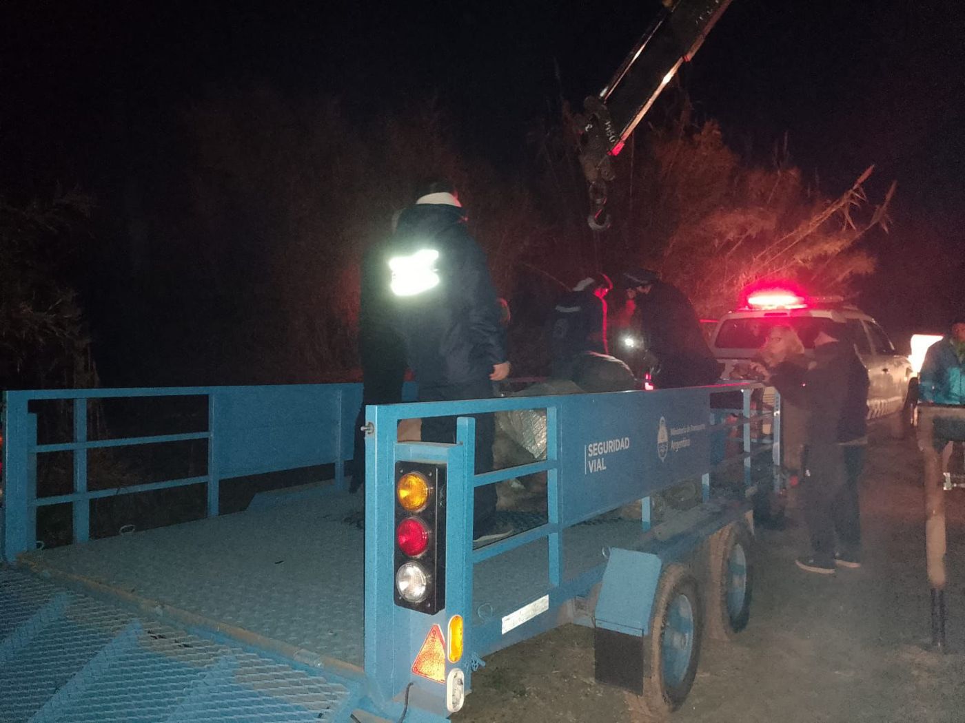 El operativo para rescatar a la yegua herida en Berisso duró varias horas.