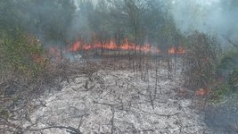 ¿cuantas hectareas del parque pereyra fueron afectadas y donde estan ubicadas? ¿cuantas hectareas del parque pereyra fueron afectadas y donde estan ubicadas?