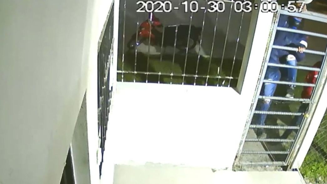 VIDEO: Dos ladrones saltaron el portón de una casa para entrar a robar y quedaron filmados