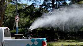 fumigaran el bosque por la invasion de mosquitos, pero los hinchas no podran entrar con repelente fumigaran el bosque por la invasion de mosquitos, pero los hinchas no podran entrar con repelente