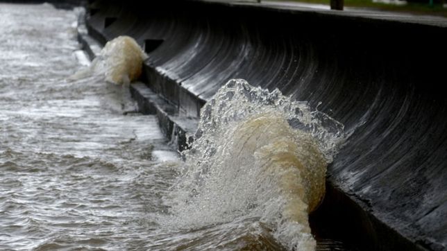 video: asi empieza a crecer el rio de la plata a la altura de punta lara