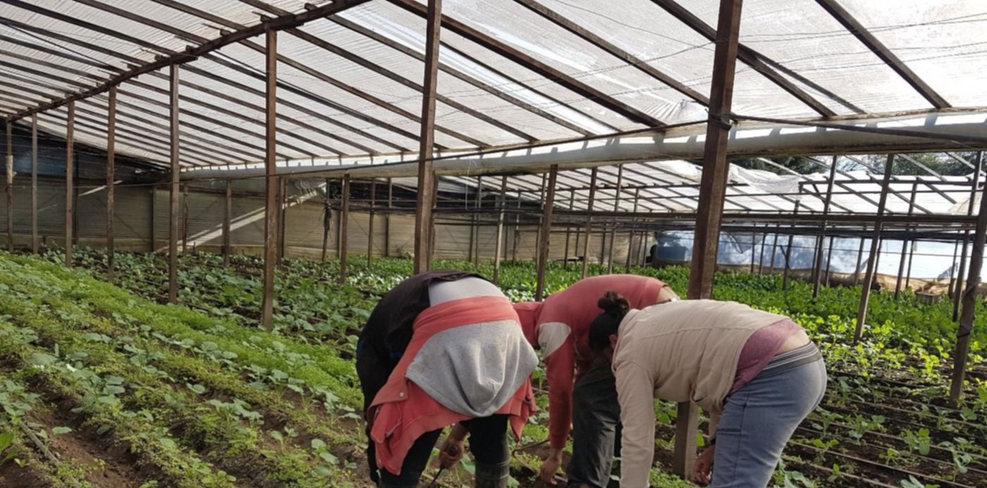 1537388084870.jpg?&cw=1920&ch=950