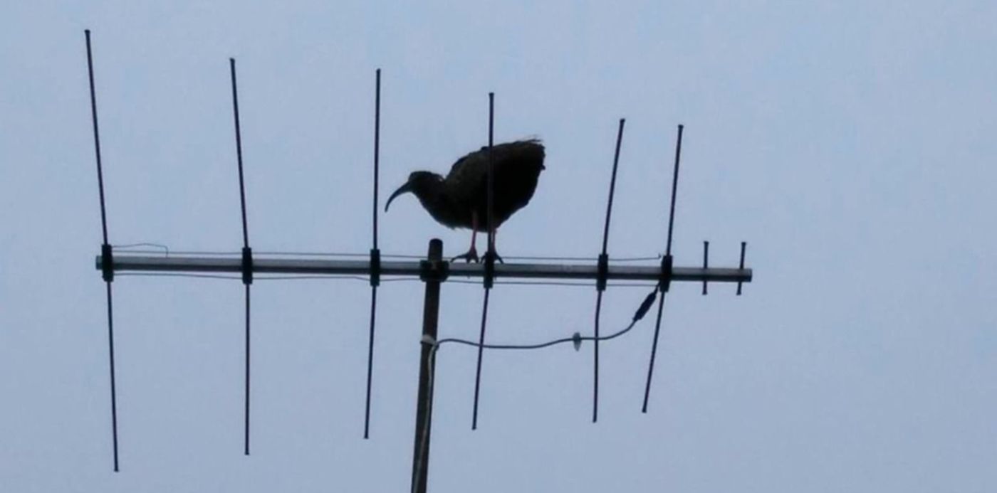 1594675785840.jpg?x=0&y=3&width=1464&height=732&rotate=0&scaleX=1&scaleY=1&ow=1500&oh=742&&cw=1920&ch=950