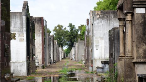 Presupuesto propio, obras y más: los funcionarios de Alak explicarán cuáles son los planes para el Cementerio de La Plata Presupuesto propio, obras y más: los funcionarios de Alak explicarán cuáles son los planes para el Cementerio de La Plata