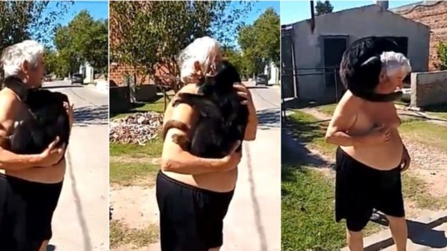 reaparecio el mono suelto en la plata, salio en vivo por tv y casi se roba el microfono