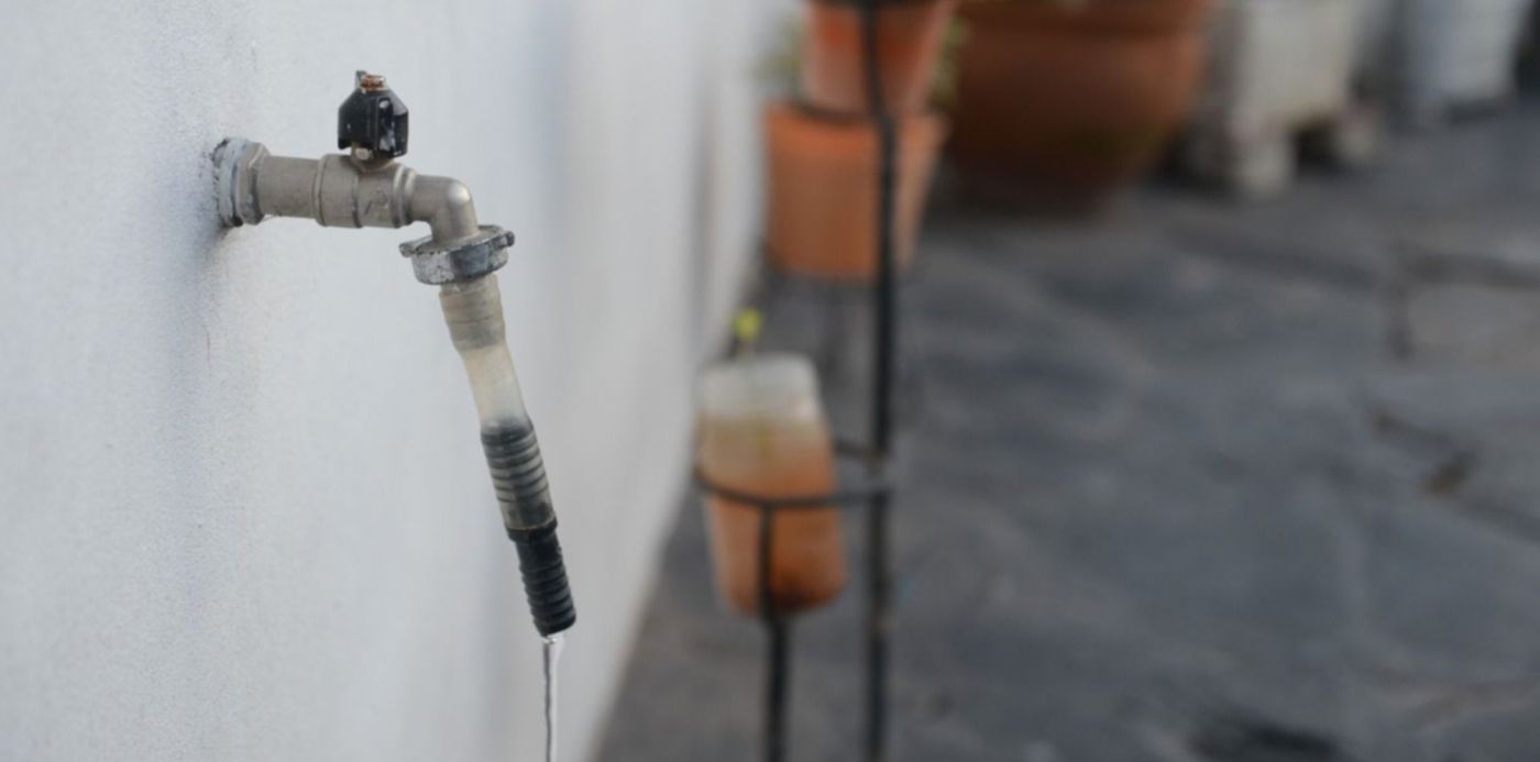 1580776088118.jpg?x=14&y=198&width=1472&height=736&rotate=0&scaleX=1&scaleY=1&ow=1500&oh=996&&cw=1920&ch=950