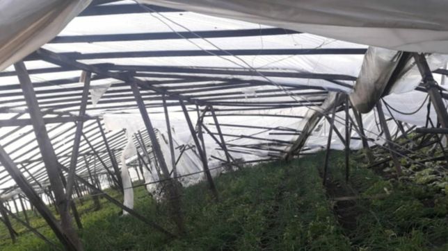la comuna intenta regular la instalacion de invernaculos en el cordon horticola de la plata