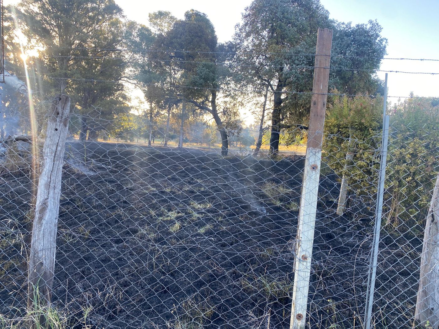 El parque de la Quinta Macabi en City Bell tras el incendio