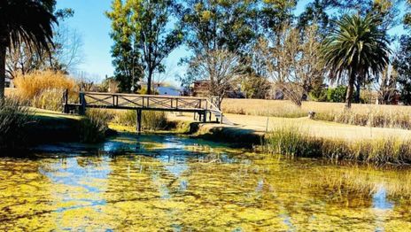 Naturaleza, historia y tradición: dos ciudades para visitar a menos de 150 km de La Plata