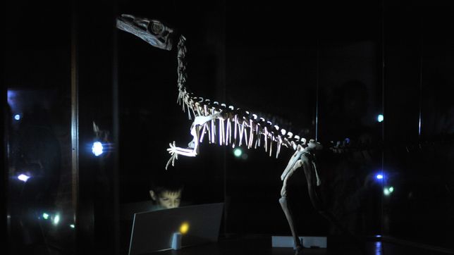 negacionistas de la existencia de los dinosaurios protestaron en el museo de ciencias naturales