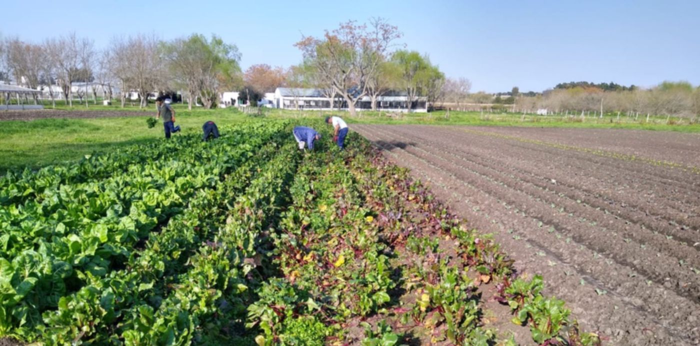 1600447951216.jpeg?&cw=1920&ch=950