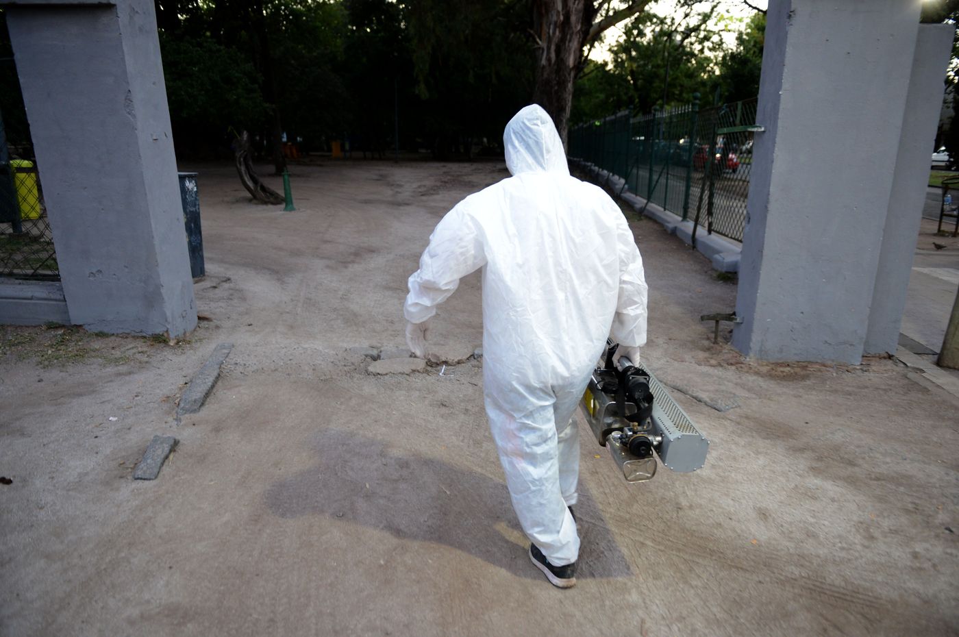 Fumigación mosquitos (31).jpg