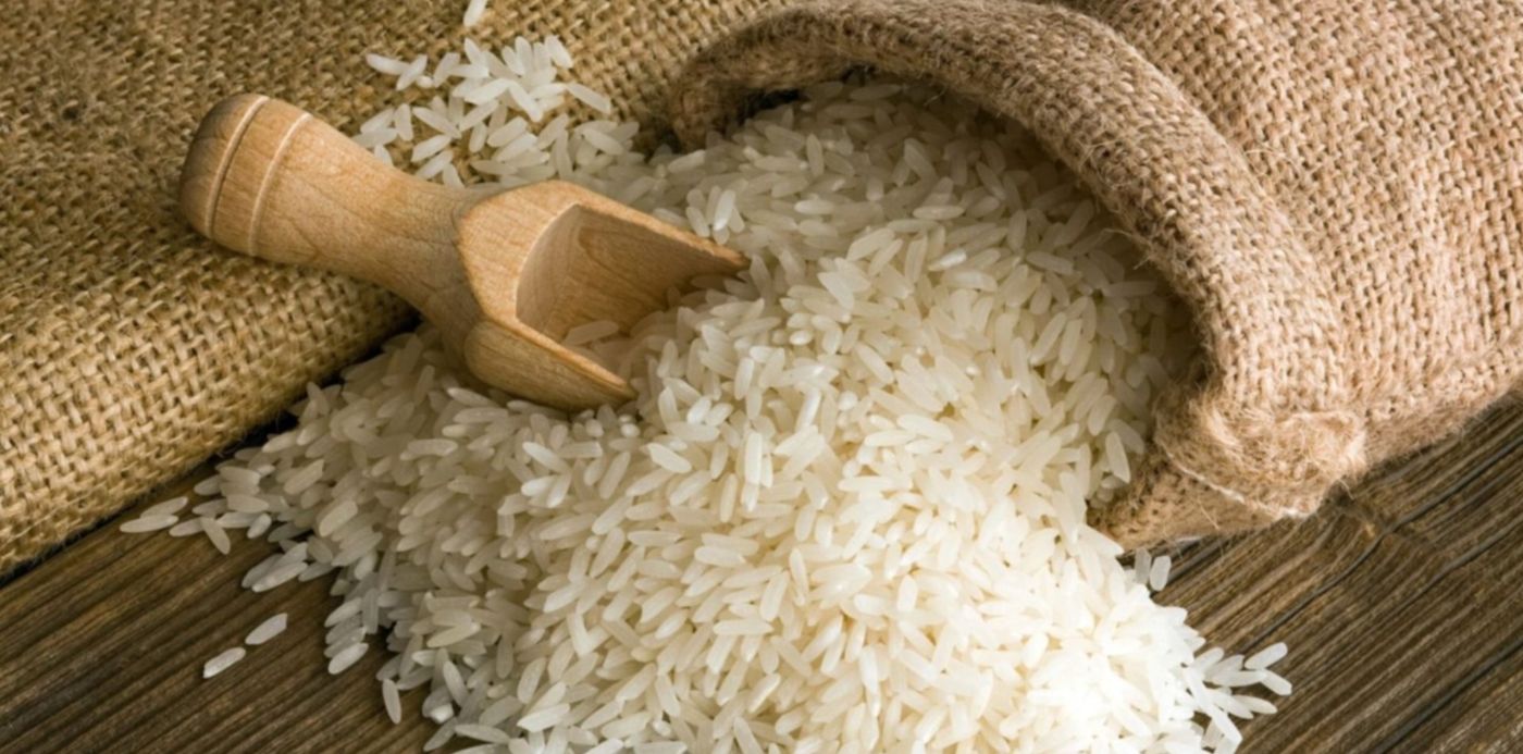 conicet la plata - arroz proteico