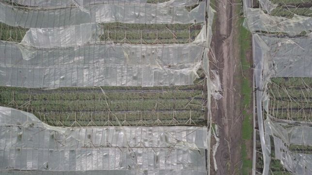 tras el temporal que castigo a la ciudad, lanzan un credito para productores afectados