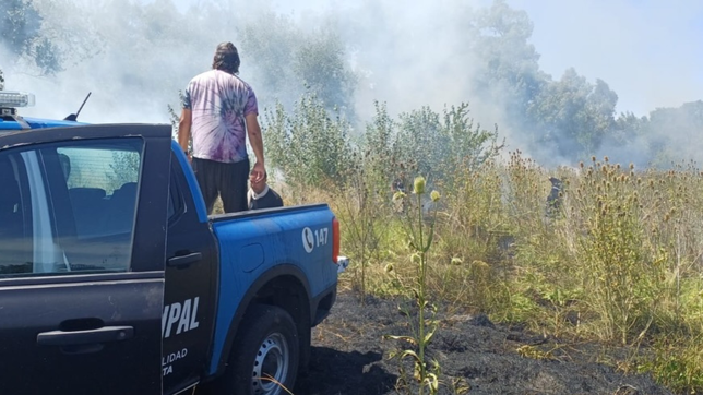 un gran incendio genero alarmas en la plata y temen una toma de tierras