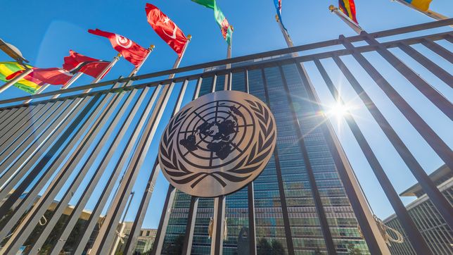para la onu, la operacion de estados unidos violo un principio basico del derecho internacional