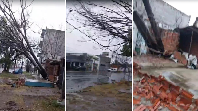 un arbol cayo sobre los cables y un paredon que quedo destrozado en plena avenida 122