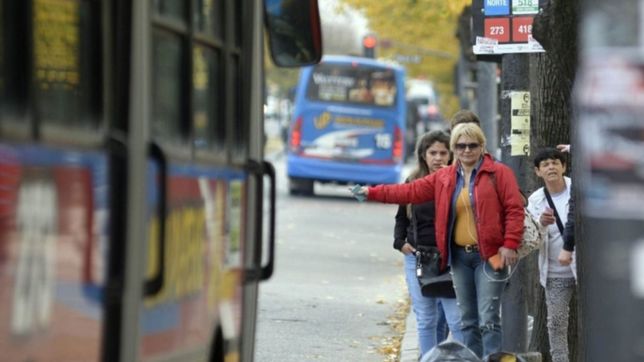 ¿como va a ser el servicio de transporte que se quiere empezar a licitar en 45 dias?
