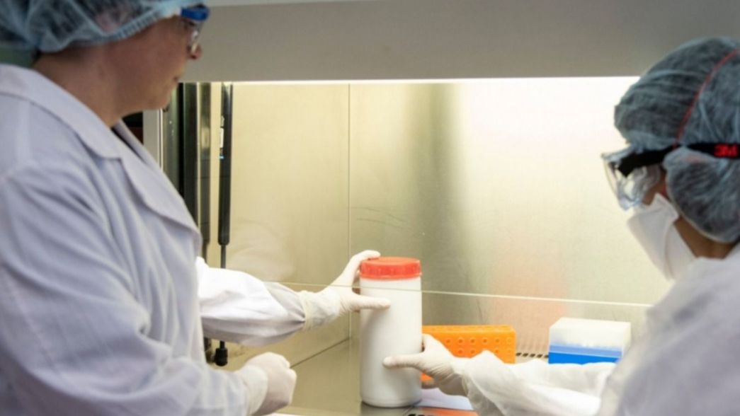 Científicos anuncian un nuevo tratamiento para curar el coronavirus