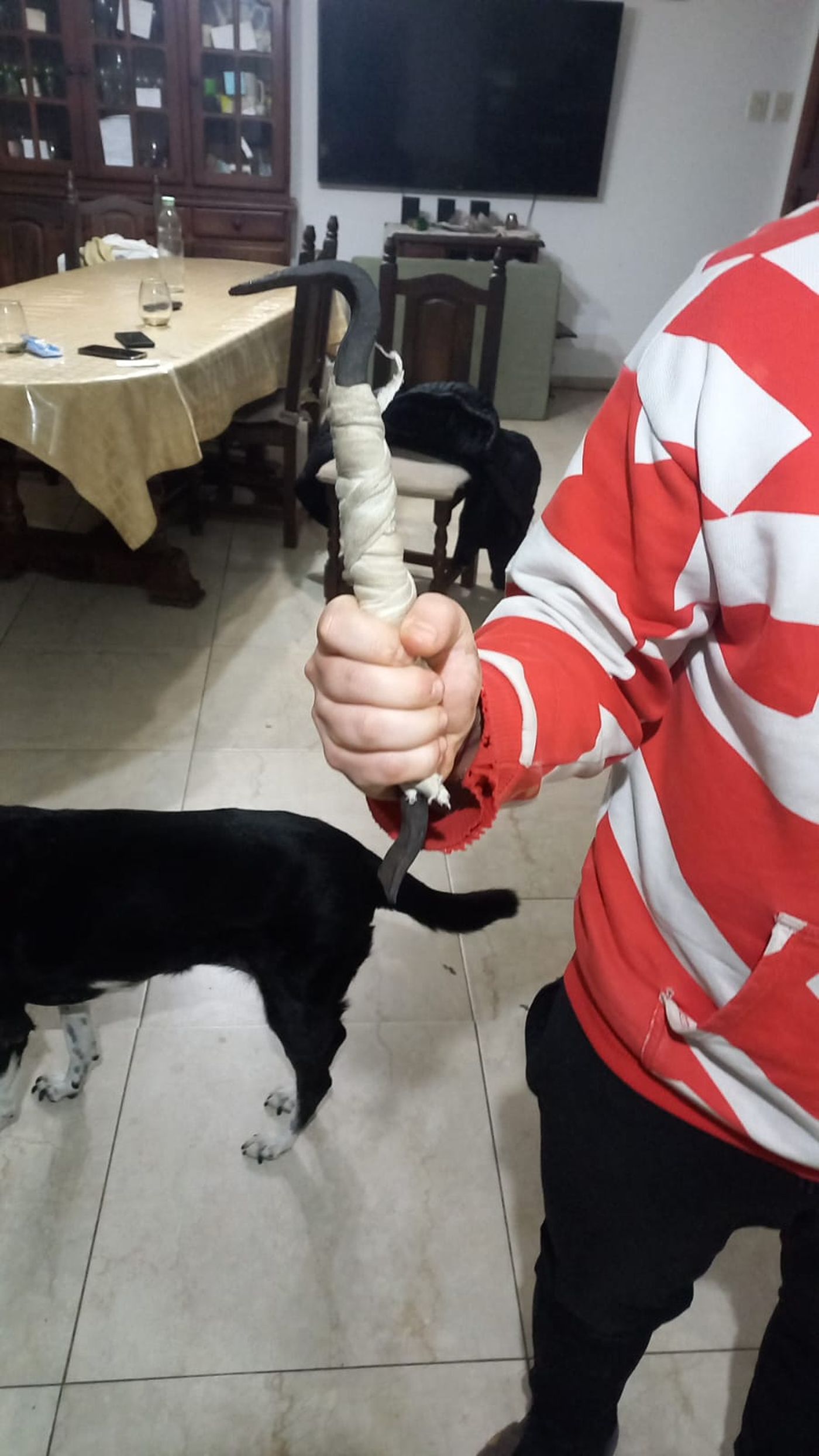 Los delincuentes dejaron la barreta que utilizaron para forzar una de las ventanas de la propiedad.