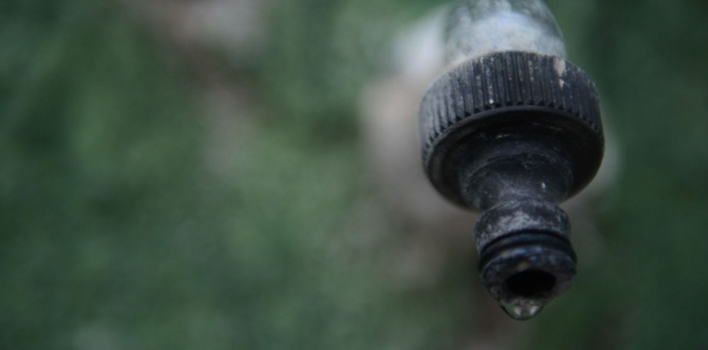 1580776083484.jpg?x=21&y=221&width=1452&height=726&rotate=0&scaleX=1&scaleY=1&ow=1500&oh=996&&cw=1920&ch=950