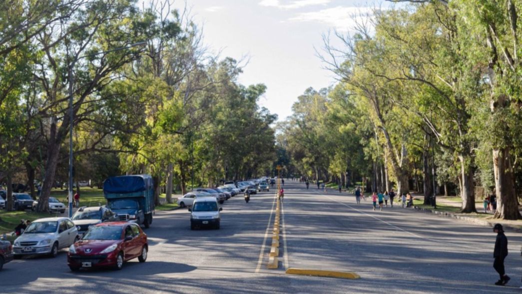 Una mujer que caminaba por el Paseo del Bosque sufrió una descarga eléctrica al pisar un cable