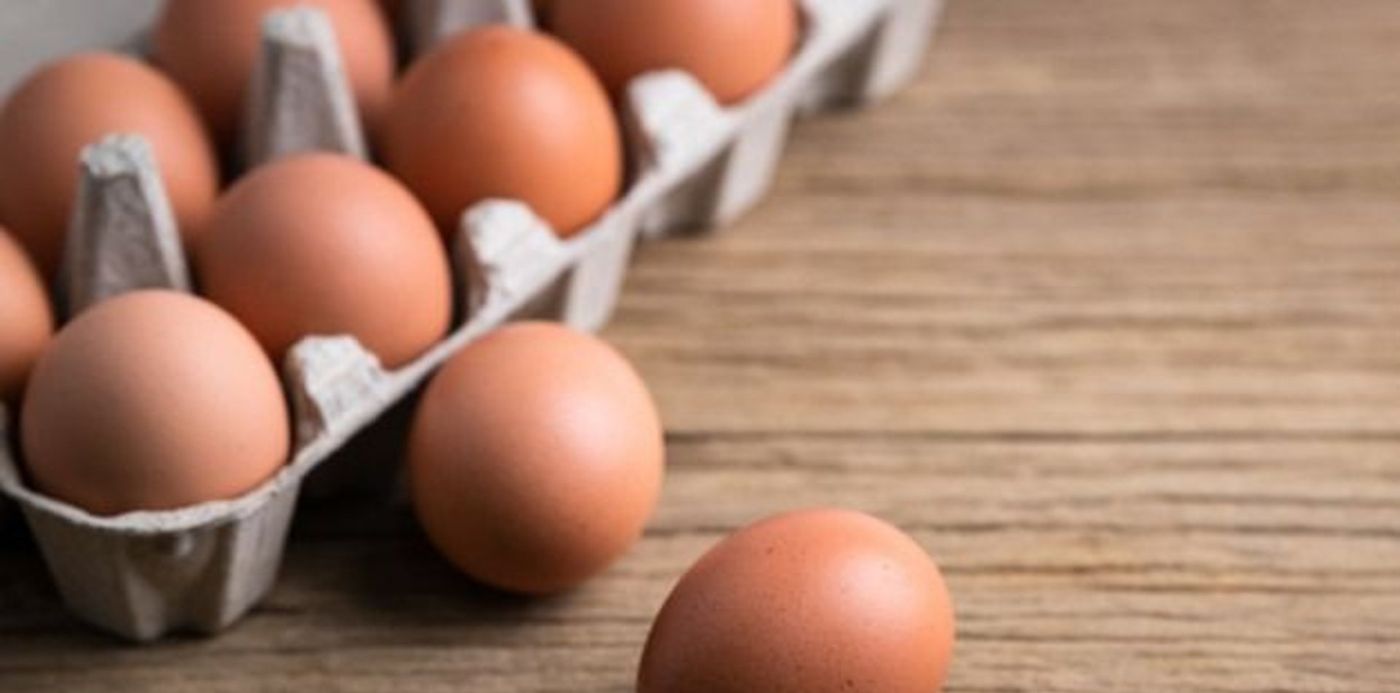 1607431426179.jpg?&cw=1920&ch=950