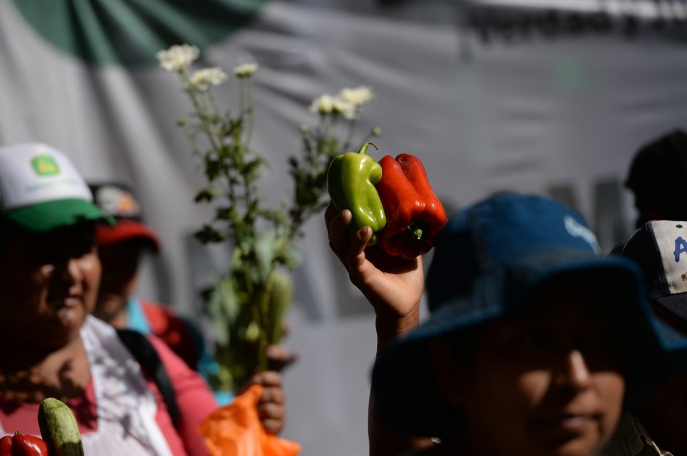 Verduras Verdurazo (2).JPG