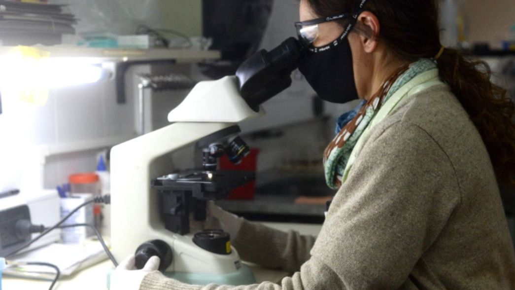 ¿Cómo es el laboratorio privado que ya hace testeos de coronavirus en La Plata?