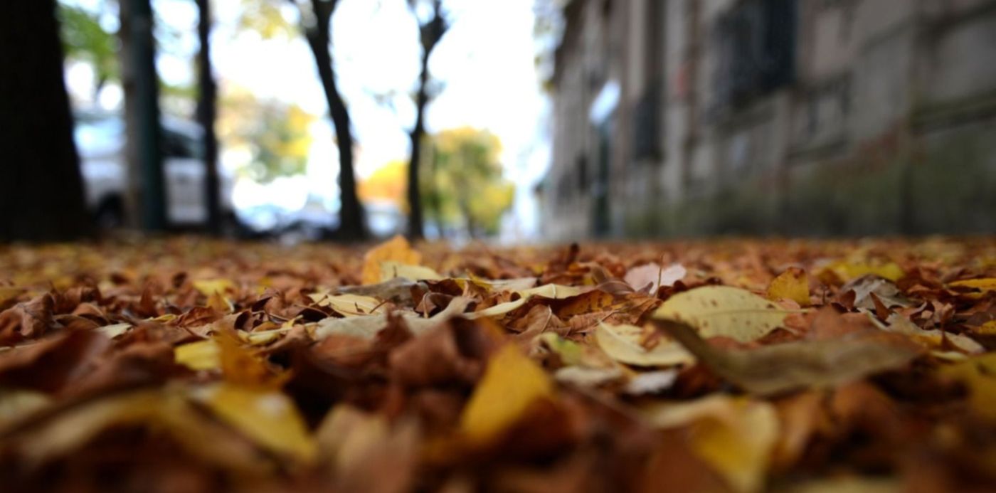 1587694282601.jpg?x=4&y=19&width=1499&height=749&rotate=0&scaleX=1&scaleY=1&ow=1500&oh=996&&cw=1920&ch=950