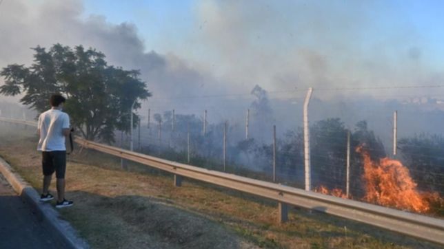 pastos secos, falta de agua y calor: el explosivo coctel detras del incendio en la cantera