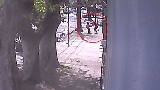 video: la sorprendio un ladron, la arrastro por la vereda y la salvaron los vecinos